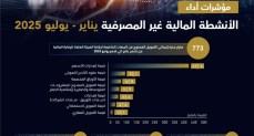 الأنشطة المالية غير المصرفية 