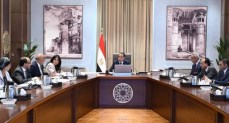 مجلس الوزراء