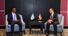 وزير الخارجية يجدد التزام مصر بدعم جهود تعزيز الأمن والاستقرار في الصومال 