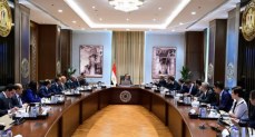 رئيس الوزراء يلتقي نائب رئيس مجموعة "سيتك" الصينية