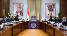 رئيس الوزراء يلتقي الرئيس التنفيذي لشركة أكوا باور السعودية 