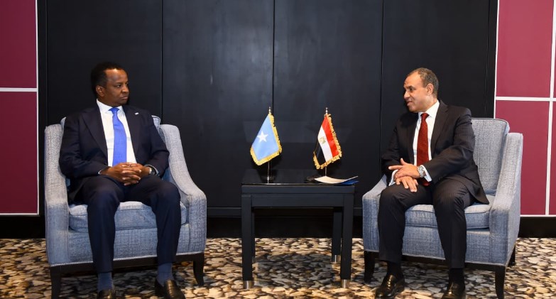 وزير الخارجية يجدد التزام مصر بدعم جهود تعزيز الأمن والاستقرار في الصومال 