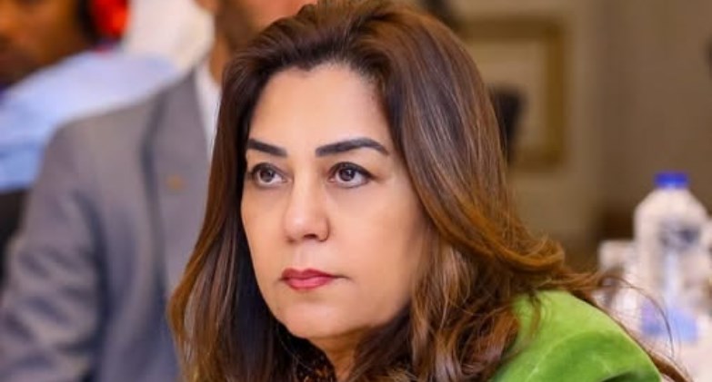 الدكتورة منال عوض وزيرة التنمية المحلية الدكتورة منال عوض وزيرة التنمية المحلية