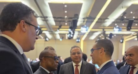 منظمة الدول الثماني الاسلامية النامية 