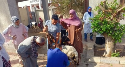 3 قوافل بيطرية مجانية في القليوبية لدعم صغار المربين