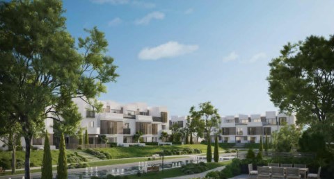  شركة تطوير مصر