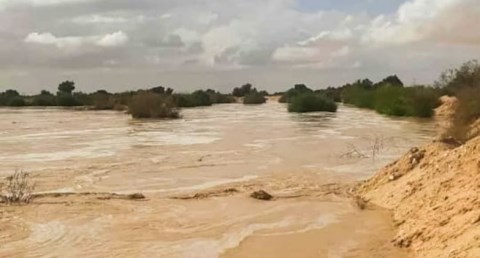 وزير الري يتابع موقف التعامل مع الأمطار التي تساقطت على محافظتى البحر الأحمر وشمال سيناء