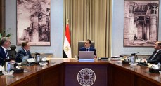  رئيس الوزراء يتابع توافر الاحتياطي الإستراتيجي من المنتجات البترولية وموقف سداد مستحقات الشركاء الأجانب بقطاع البترول