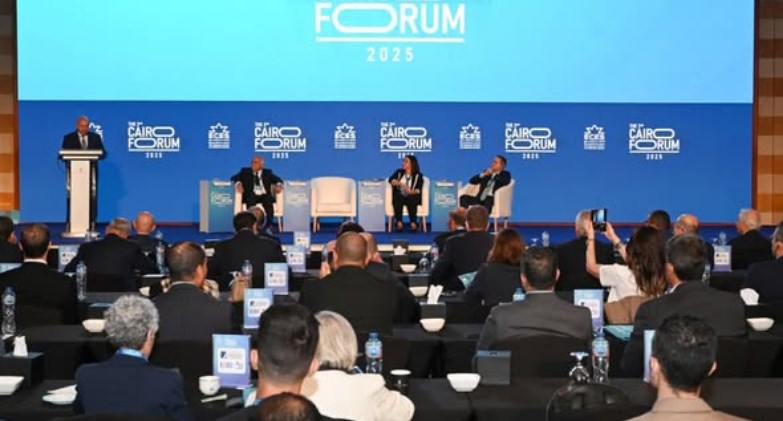  نائب رئيس مجلس الوزراء للتنمية الصناعية