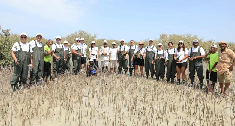 موظفو توتال إنرجيز للتسويق إيجيبت يزرعون 1000 شجرة مانغروف في مرسى علم ضمن مبادرة للمسؤولية المجتمعية