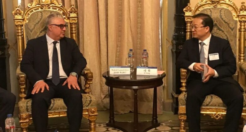 وليد جمال الدين رئيس الهيئة العامة للمنطقة الاقتصادية لقناة السويس 