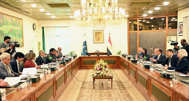 مشاورات سياسية بين وزيرى الخارجية المصري والباكستاني في إسلام آباد
