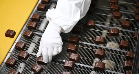 إم أو جروب تستهدف 12 مليون دولار صادرات من الشكولاتة والحلوى خلال 2026