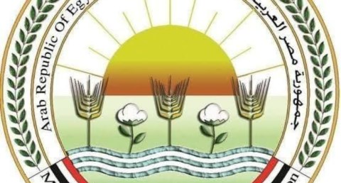 وزارة الزراعة: طفرة فى صادرات الدواجن المصرية وارتفاع الإنتاج 14%