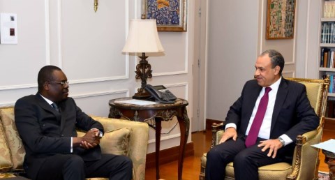 وزير الخارجية يؤكد دعم مصر لتعزيز منظومة الصحة والأمن الدوائي في أفريقيا