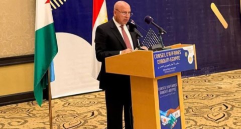  نائب رئيس مجلس الوزراء للتنمية الصناعية