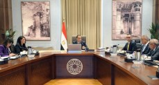  رئيس الوزراء يستعرض الهيكل التنظيمي لوحدة إعادة هيكلة الشركات المملوكة للدولة