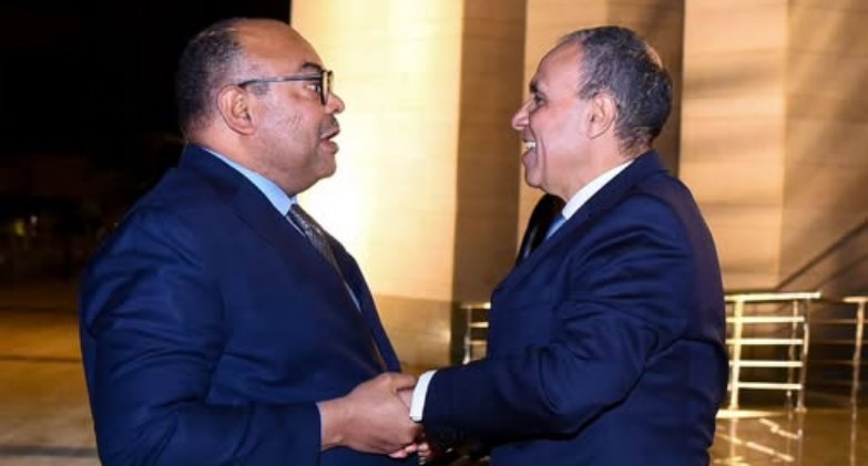  وزير الخارجية يلتقي نظيره التنزاني