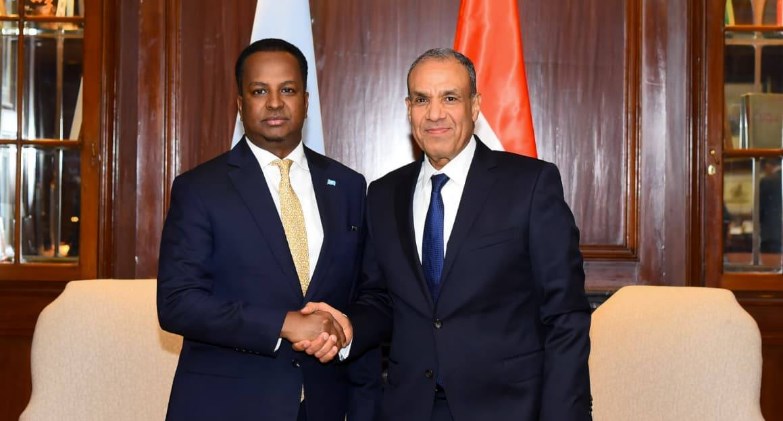 مباحثات مصرية-صومالية حول سبل تعزيز الشراكة ودعم الأمن والاستقرار