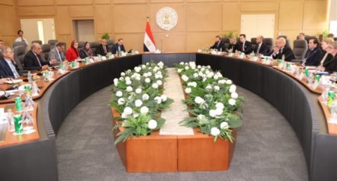 مصر والسويد تبحثان سبل دعم الشراكة والتعاون فى مجالات الطاقات المتجددة 