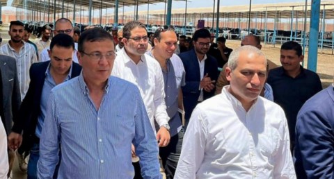 البنك الزراعي المصري يمول شراء 2000 رأس ماشية بقيمة 395 مليون جنيه لصالح  188 من صغار المربين بالشرقية