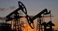 الحكومة توافق على 5 اتفاقيات التزام بترولية بقيمة 256 مليون دولار     
