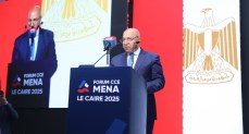 الفريق مهندس كامل الوزير نائب رئيس مجلس الوزراء للتنمية الصناعية وزير الصناعة والنقل 