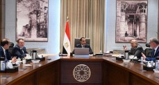 مجلس الوزراء