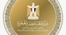الخارجية المصرية