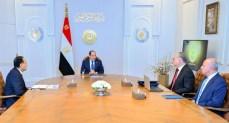 السيسي يوجه باتخاذ ما يلزم من إجراءات لضمان استقرار التغذية الكهربائية