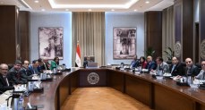 رئيس الوزراء يتابع جهود توطين صناعة الحرير
