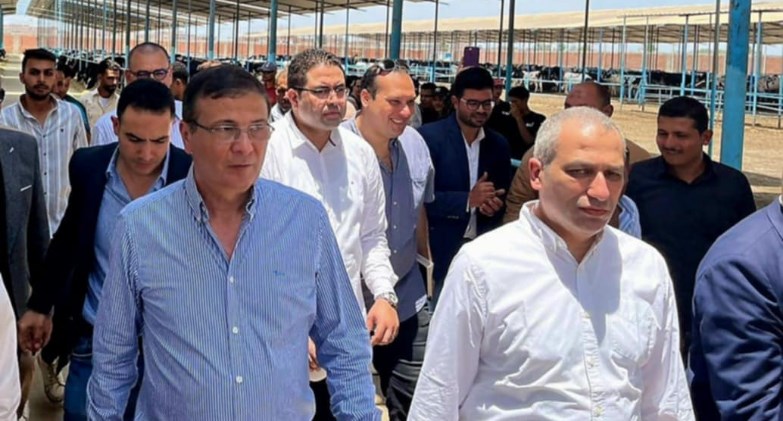 البنك الزراعي المصري يمول شراء 2000 رأس ماشية بقيمة 395 مليون جنيه لصالح  188 من صغار المربين بالشرقية
