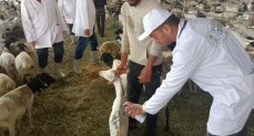 وزير الزراعة يتابع البعثة البيطرية للإشراف على الهدي والأضاحي بالمملكة