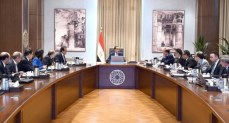 مجلس الوزراء