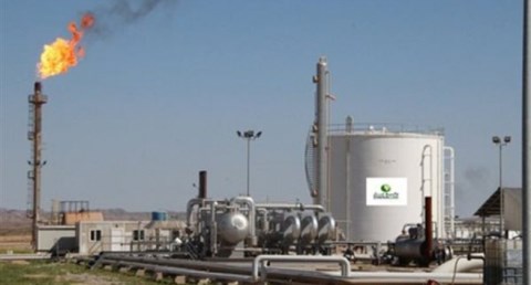 شركة دانة غاز الإماراتية 