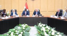 مصر تدرس إدارة منظومة النقل البري في سيراليون     