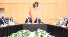 نائب رئيس مجلس الوزراء للتنمية الصناعية