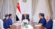 الرئاسة: الأمن الغذائي المصري في وضع مستقر ومطمئن