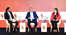 حسام هيبة، الرئيس التنفيذي للهيئة العامة للاستثمار والمناطق الحرة