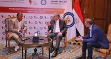 وزير البترول والثروة المعدنية
