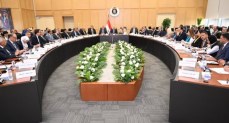 إقامة 3 مصانع بنظام المناطق الحرة الخاصة باستثمارات 216.5 مليون دولار