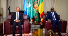 وزير الخارجية يناقش تعزيز العلاقات الثنائية مع وزير خارجية مالي في باماكو