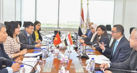 مصر وفيتنام 