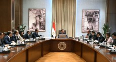 مبيعات الشركات الأجنبية بسوق الدواء المصرية