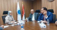 رشا عبد العال، رئيس مصلحة الضرائب المصرية