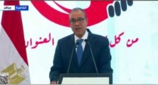الدكتور بدر عبد العاطي وزير الخارجية