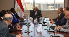 وزير الكهرباء والطاقة المتجددة 