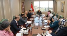 عصمت: فصل الشركة المصرية لنقل الكهرباء كمشغل مستقل لتعزيز الحوكمة 