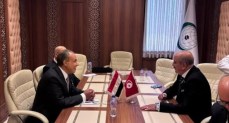 وزيرا خارجية مصر وتونس 