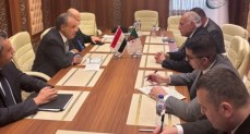 وزير الخارجية والهجرة وشئون المصريين بالخارج